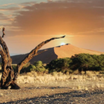 Namibia Front