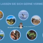 Kopie Von Info Vorschau (1)