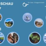 Vorschau Vorschau