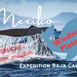 Kopie Von Navigation Mexiko (1)